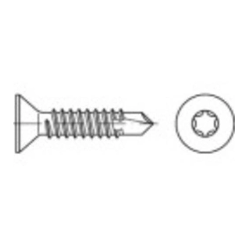 Bild von TOOLCRAFT 141576 Bohrschrauben 5.5mm 45mm T-Profil