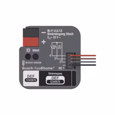 Bild von BUSCH JAEGER BJ Binäreingang 2fach UP BI-F-2.0.12 (2CDG510023R0021)