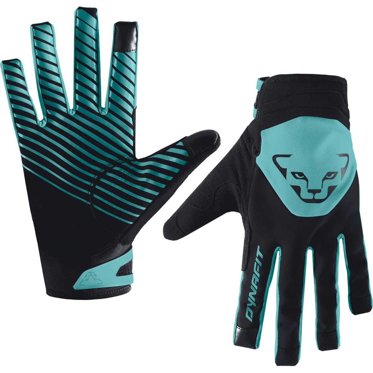 Bild von Dynafit Handschuhe Marke Radical 2 Softshell Gloves