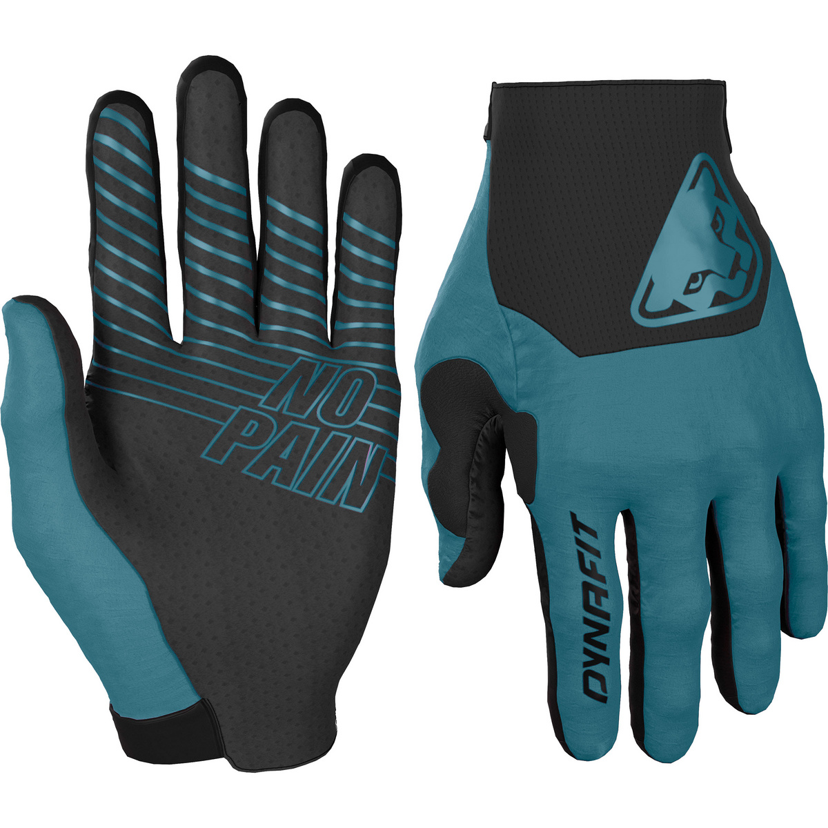 Bild von Dynafit, Damen, Handschuhe, Ride Gloves, Blau, (L)