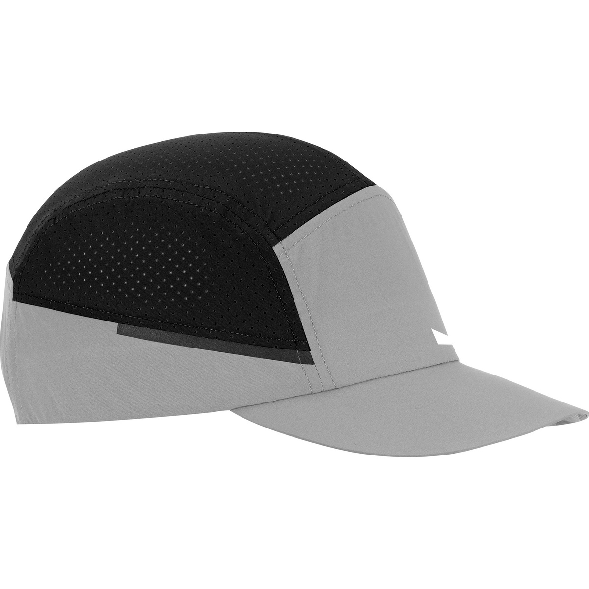 Bild von Salewa Pedroc Durastretch Light Cap (00-0000028651) alloy