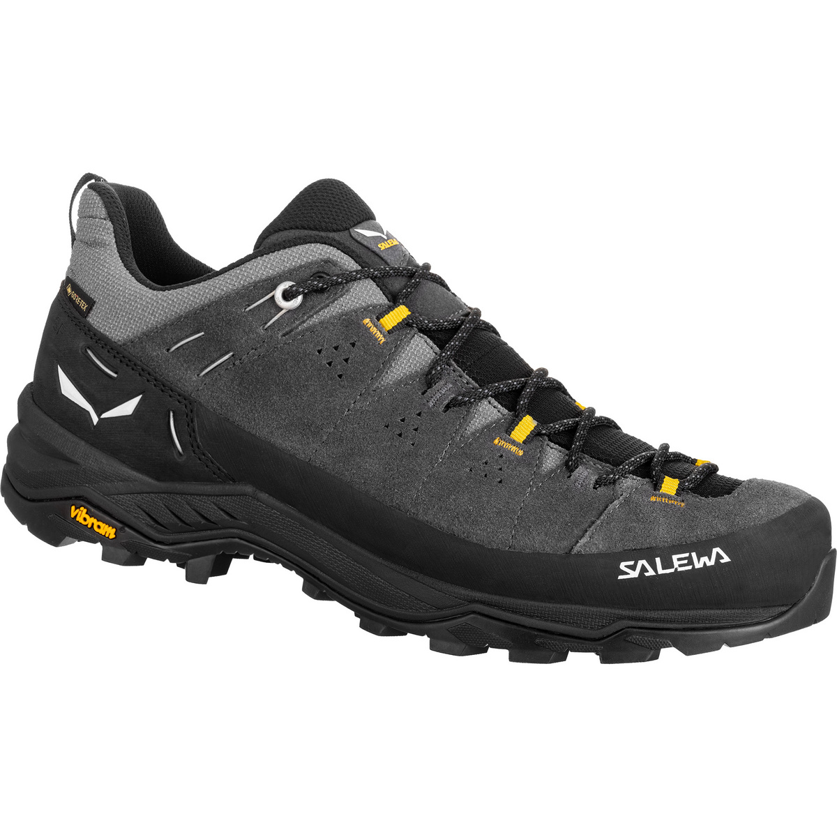 Bild von Salewa Herren Alp Trainer 2 Gore-Tex Waterproof GTX Wanderschuh, Onyx/SCHWARZ, 40.5 EU