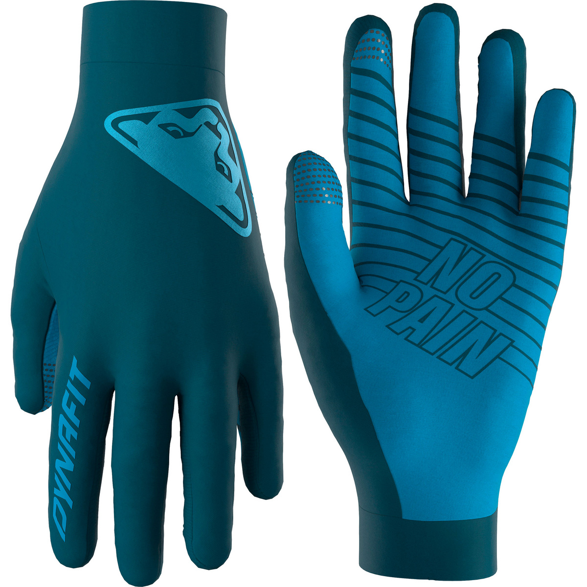 Bild von Dynafit Upcycled Light Handschuhe