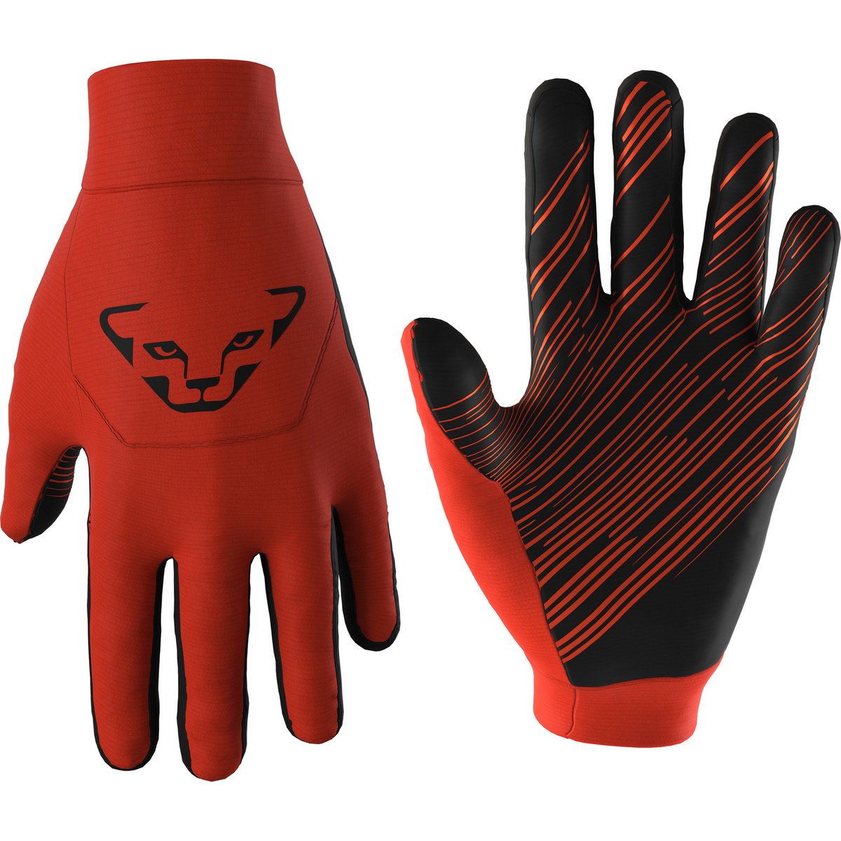 Bild von Dynafit Handschuhe der Marke UPCYCLED Thermal Gloves