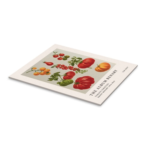 Bild von Acrylglasbild „The Album Benary - Tomato Varieties“