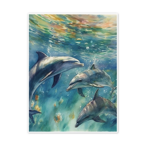 Bild von Posterlounge Poster Ryley Gray, Dolphin Fun, Kinderzimmer Malerei