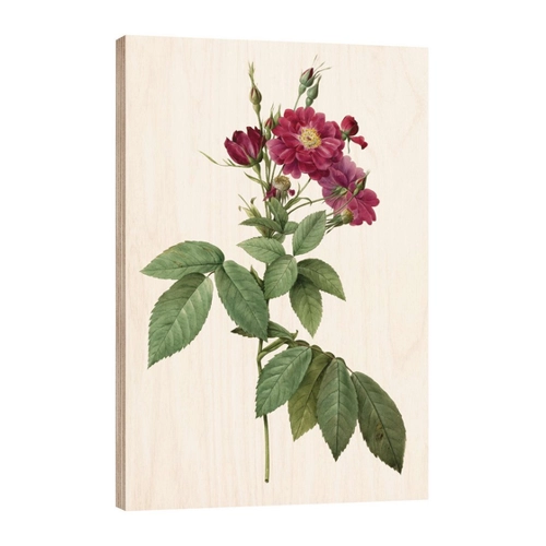 Bild von Holzbild „Rose II“ von Pierre Joseph Redouté