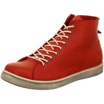 Bild von Andrea Conti  Stiefel Stiefeletten Da.-Schnürer 0341500 583