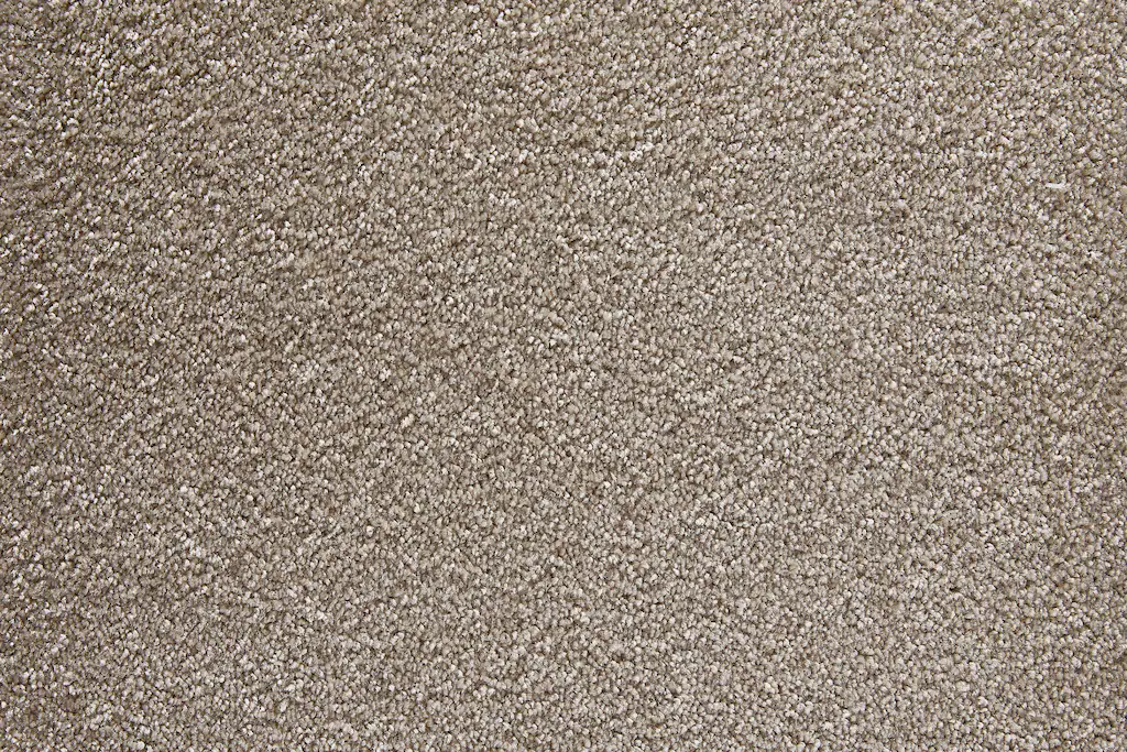 Bild von Andiamo Teppichboden Verona, Velours, Made in Belgium, rechteckig, Höhe: 6 mm, Uni Farben, Breite 400 cm oder 500 cm, strapazierfähig, pflegeleicht