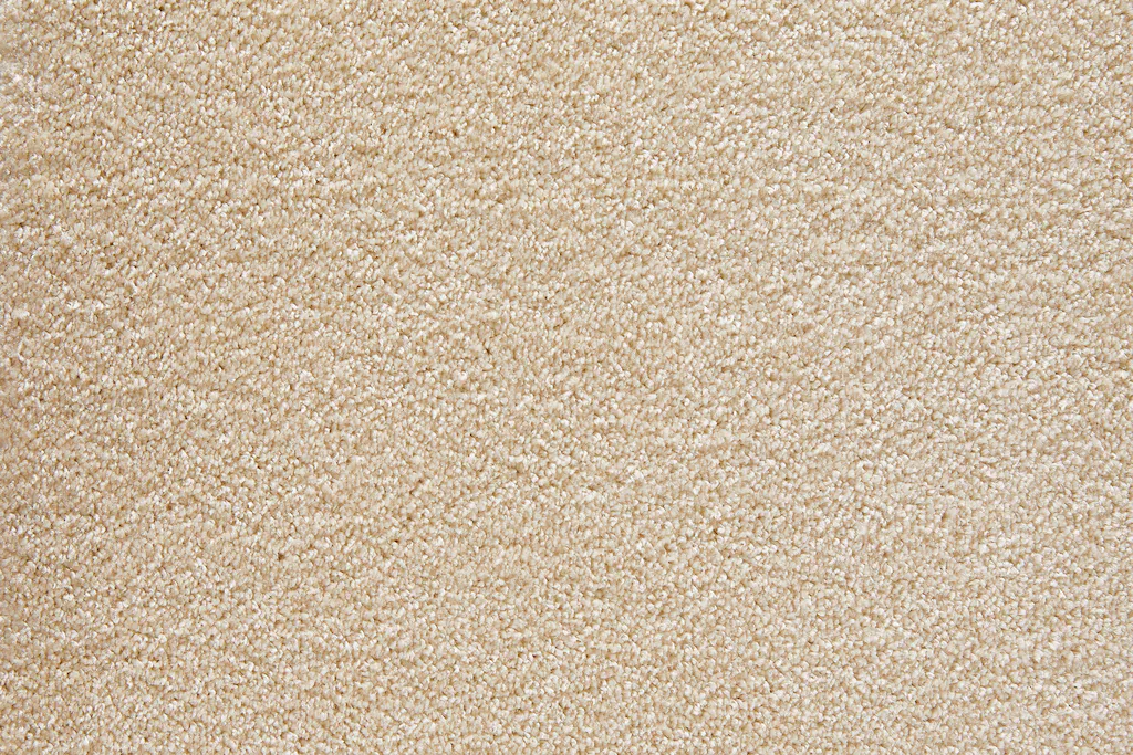Bild von Andiamo Teppichboden "Velours Verona", rechteckig, 6 mm Höhe, Uni Farben, Breite 400 cm oder 500 cm, strapazierfähig, pflegeleicht