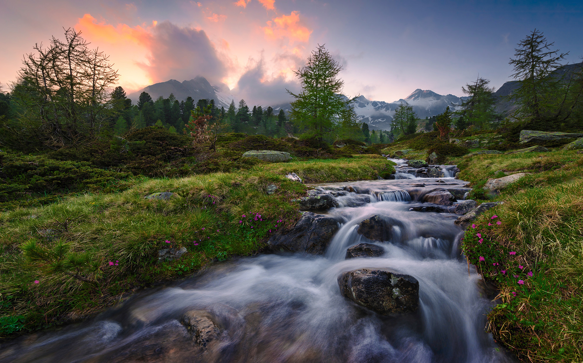 Bild von Komar Vlies Fototapete WILD PARADISE | Tapete, XXL, Dekoration, Natur, Landschaft, Schlafzimmer, Wohnzimmer, Büro, Flur | Größe 450 x 280 cm (Breite x Höhe) | SHX9-096