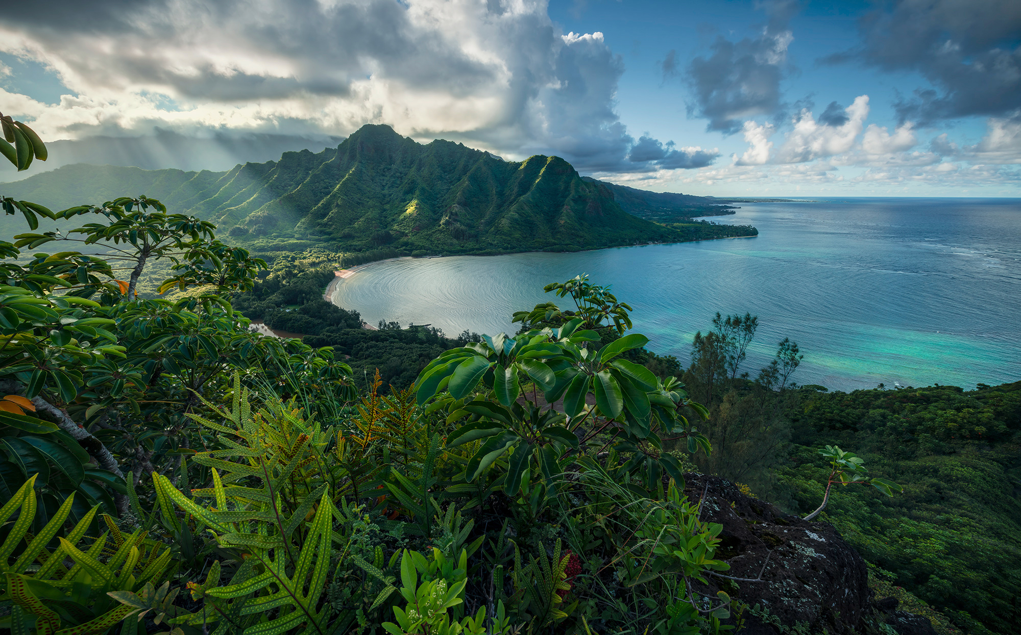 Bild von Komar Vlies Fototapete JURASSIC ISLAND | Tapete, XXL, Dekoration, Natur, Landschaft, Schlafzimmer, Wohnzimmer, Büro, Flur | Größe 450 x 280 cm (Breite x Höhe) | SHX9-117