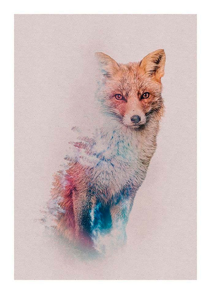Bild von Komar Poster "Animals Forest Fox", Tiere, (1 St.), Kinderzimmer, Schlafzimmer, Wohnzimmer