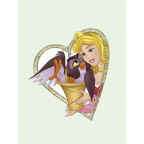 Bild von Komar Disney Wandbild Aurora & Owl | Kinderzimmer, Babyzimmer, Dekoration, Kunstdruck | ohne Rahmen | WB081-40x50 | Größe: 40 x 50 cm (Breite x Höhe)
