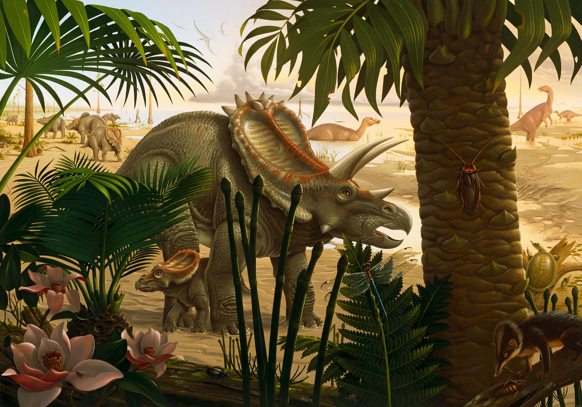 Bild von KOMAR Vliestapete »Into Adventure«, Breite 400 cm, matt - bunt