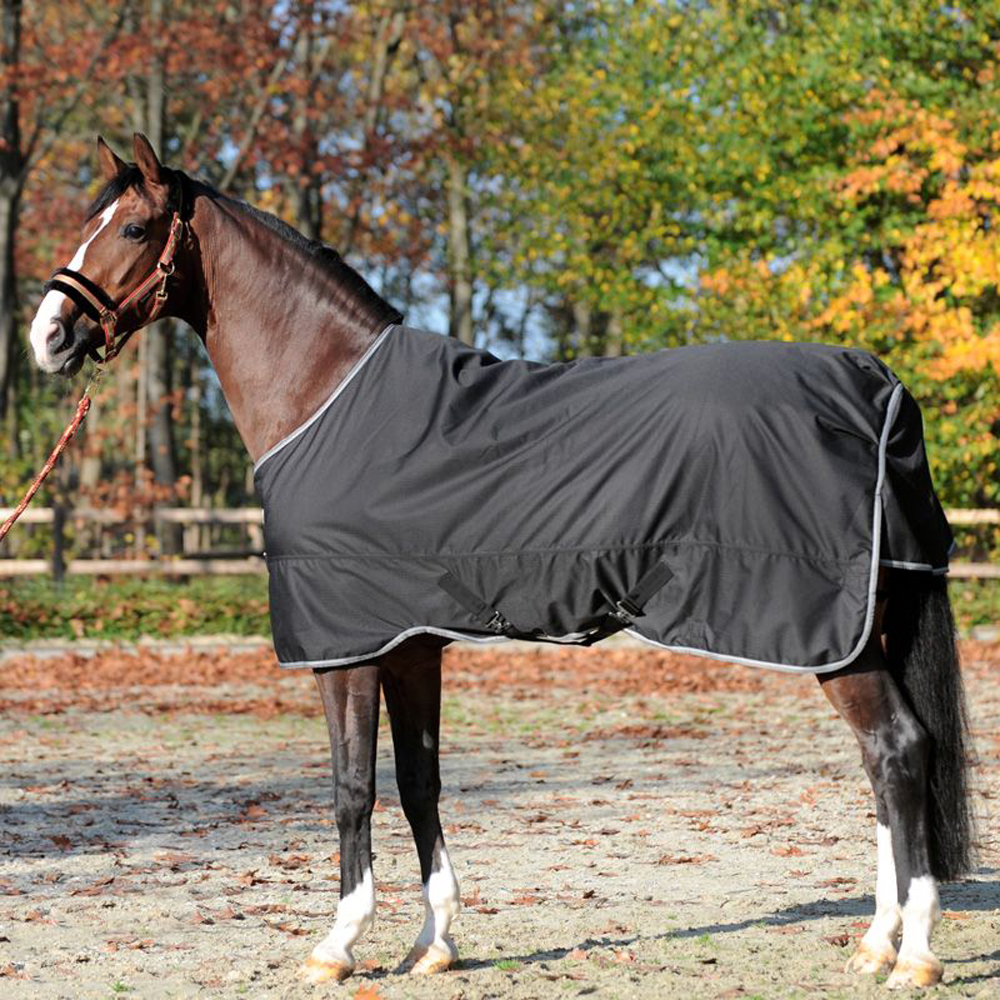 Bild von Kavalkade Regendecke Winnipeg 50 g 1,35 m