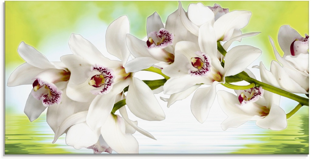 Bild von Glasbild ARTLAND "Weiße Orchidee", weiß, B:100cm H:50cm, Bilder, in verschiedenen Größen