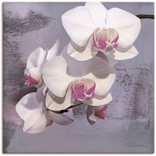 Bild von Artland Leinwandbild »Orchideen vor Violett II«, Blumen, (1 St.), auf Keilrahmen gespannt