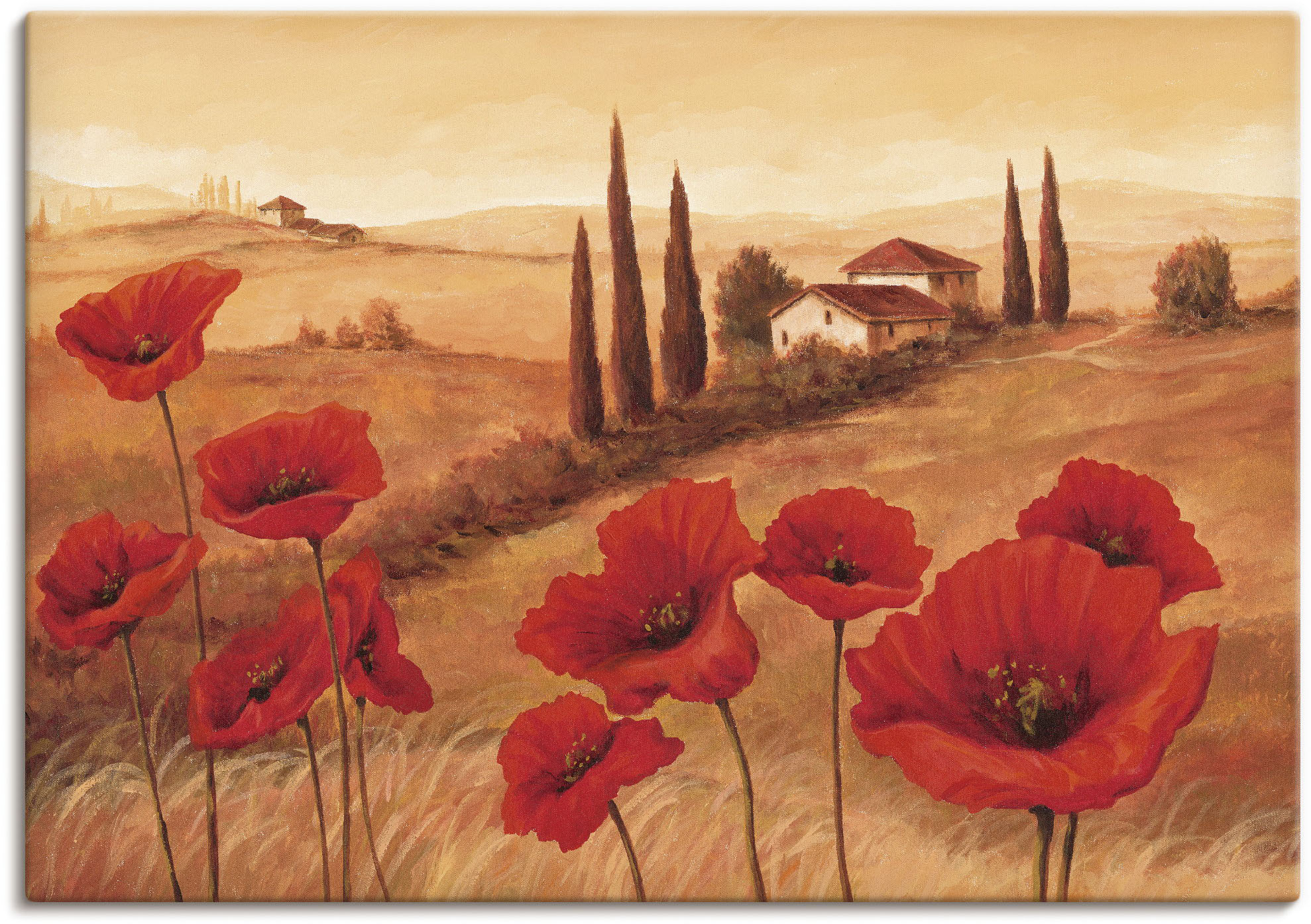 Bild von Artland Leinwandbild Wandbild Bild auf Leinwand 70x50 cm Wanddeko Toskana Landschaft Italien Blumen Blüten Malerei Mohnblumen Ocker T4NQ