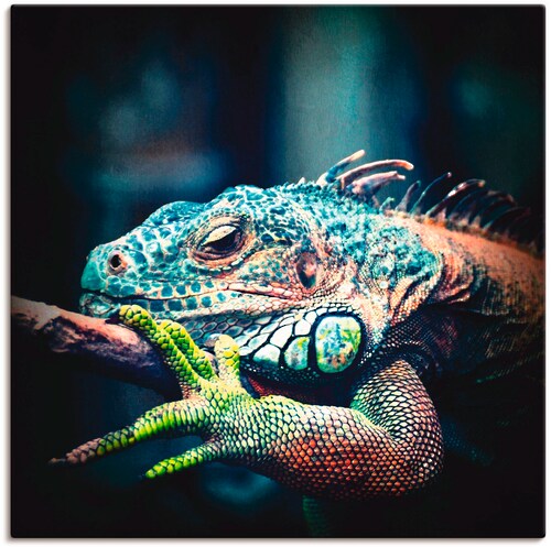 Bild von Artland Wandbild »Leguan«, Reptilien, (1 St.), als Leinwandbild, Poster in verschied. Größen