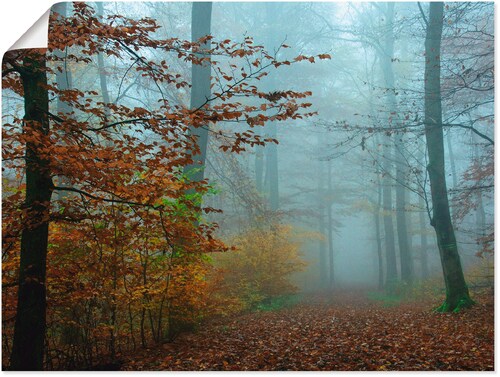 Bild von Artland Wandbild »Nebel im Herbstwald«, Wald, (1 St.), als Leinwandbild, Poster, Wandaufkleber in verschied. Größen