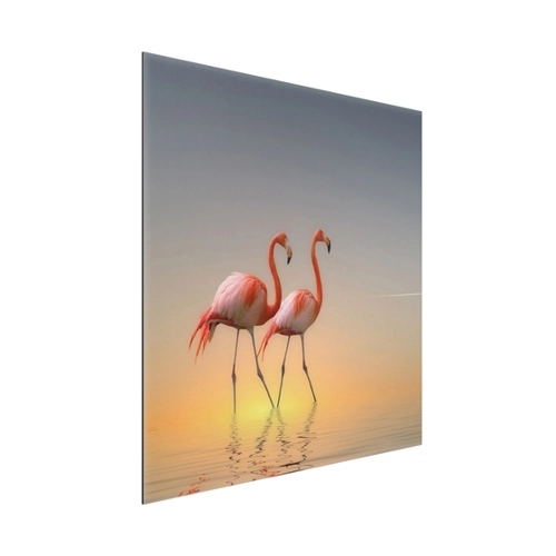 Bild von Alu-Dibond Wandbild Tiere Flamingo Love – Ein Blickfang für Ihr Zuhause