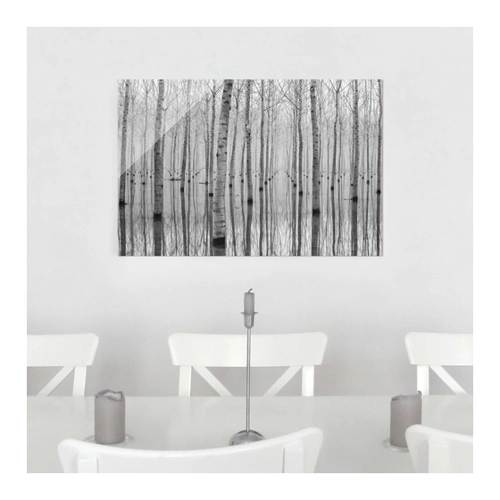 Bild von Glasbild Schwarz-Weiß Birken im November