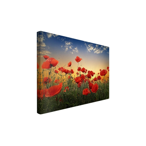 Bild von Leinwandbild mit Mohnblumen – Ein Fenster zur Natur