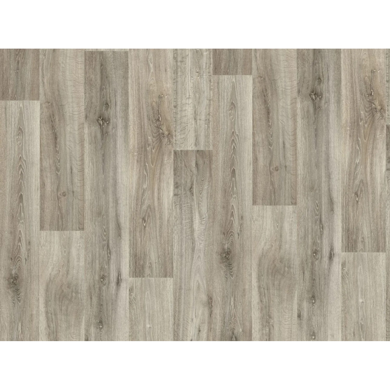 Bild von Primaflor PVC Turvo Eiche Grau 2,00m x 9,50m