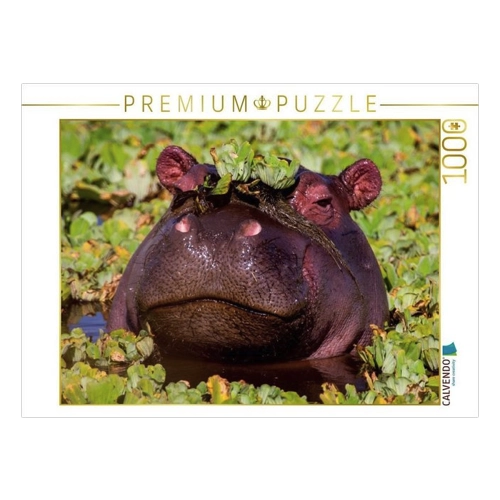 Bild von CALVENDO Puzzle Das Flusspferd hat sich eine Krone aufgesetzt - 1000 Teile