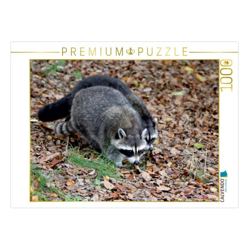 Bild von CALVENDO Puzzle Waschbären 1000 Teile – Ein Spaß für die ganze Familie