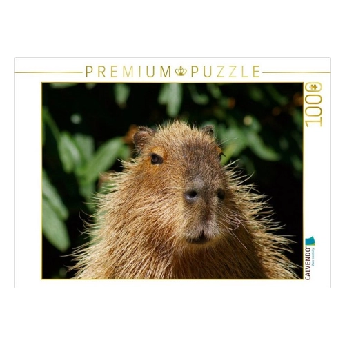 Bild von CALVENDO Puzzle Wasserschwein (Hydrochoerus hydrochaeris) 1000 Teile