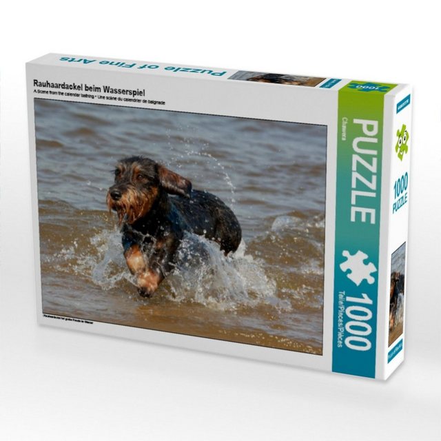 Bild von CALVENDO Puzzle CALVENDO Puzzle Rauhaardackel beim Wasserspiel 1000 Teile Lege-Größe 64 x 48 cm Foto-Puzzle Bild von Barbara Mielewczyk, 1000 Puzzleteile