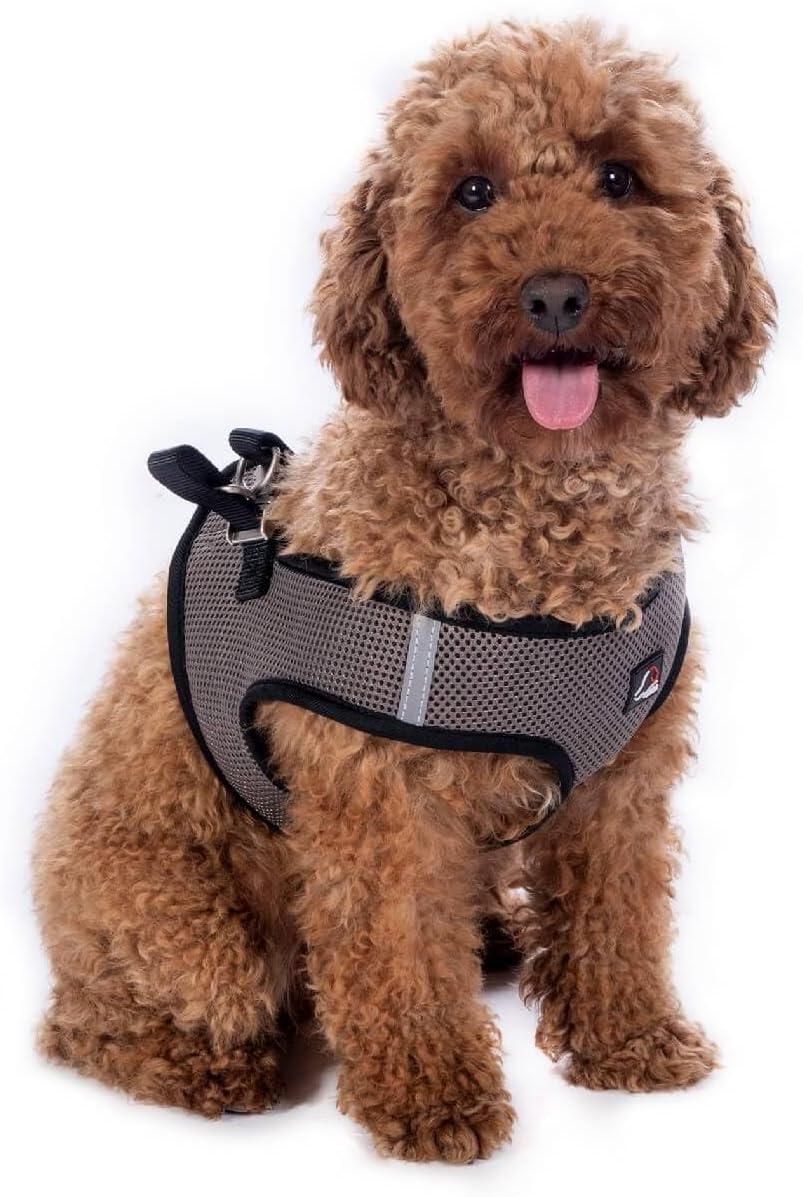 Bild von HKM Dogs Hunde-Geschirr Hundegeschirr -Buddy Soft-