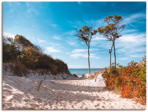 Bild von Artland Wandbild "Weststrand Darss", Strand, (1 St.), als Leinwandbild, Poster, Wandaufkleber in verschied. Größen