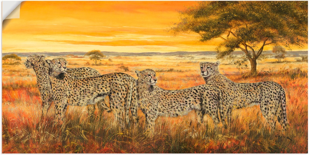 Bild von Artland Wandbild "4 Geparden", Wildtiere, (1 St.), als Leinwandbild, Wandaufkleber in verschied. Größen
