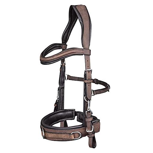 Bild von Kappzaum Anatomic