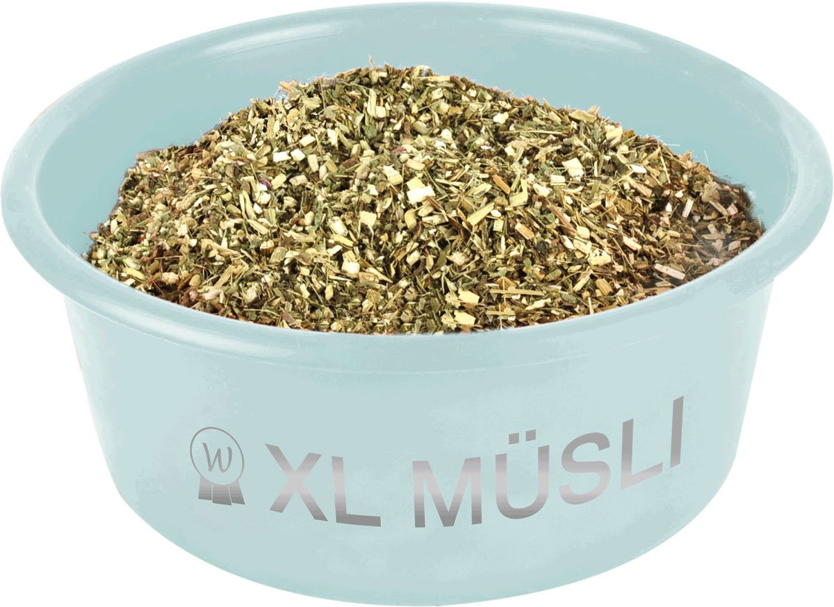 Bild von Waldhausen XL-Müsli-Schale mit Deckel türkis