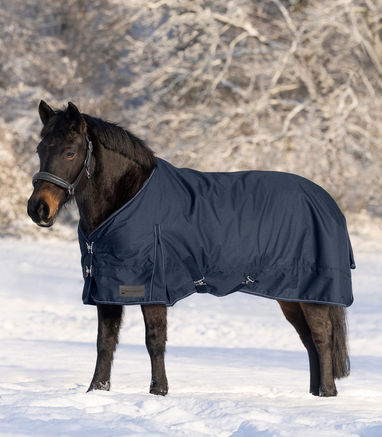 Bild von Waldhausen Outdoordecke Nordic light