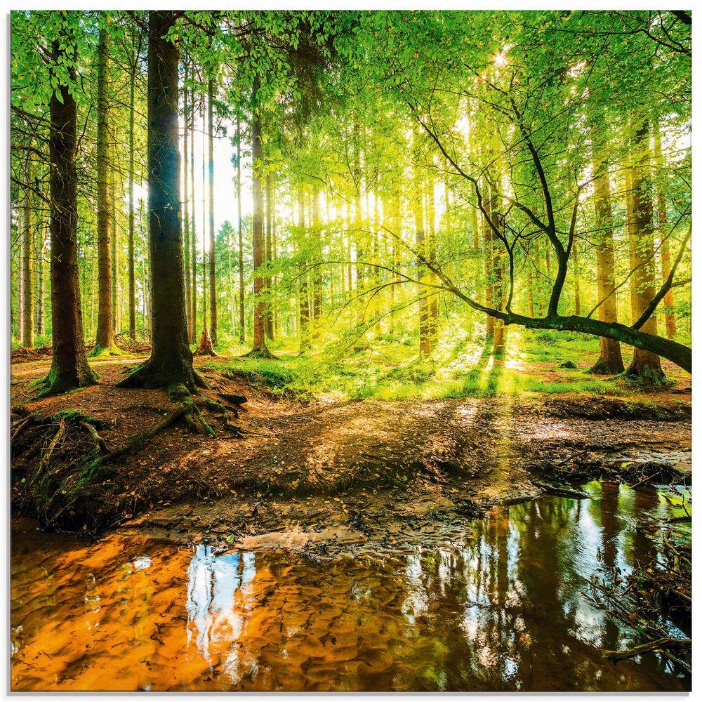 Bild von Artland Glasbild "Wald mit Bach", Wald, (1 St.), in verschiedenen Größen