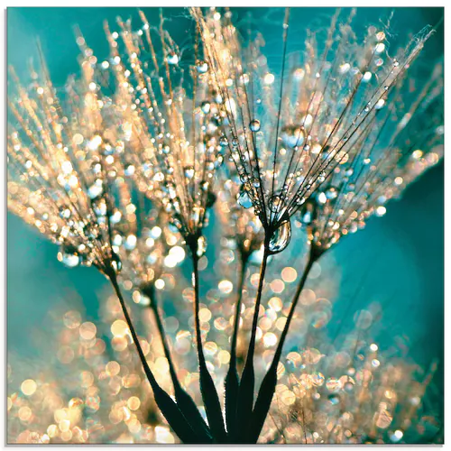 Bild von Artland Glasbild "Pusteblume Schirmchen abstrakt", Blumen, (1 St.), in verschiedenen Größen