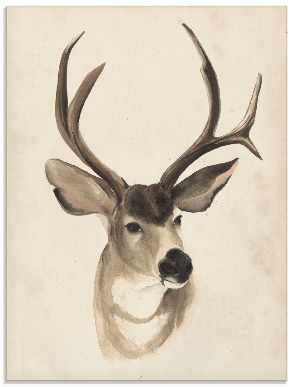 Bild von Artland Glasbild "Wasserfarben Tierlehre II", Wildtiere, (1 St.), in verschiedenen Größen