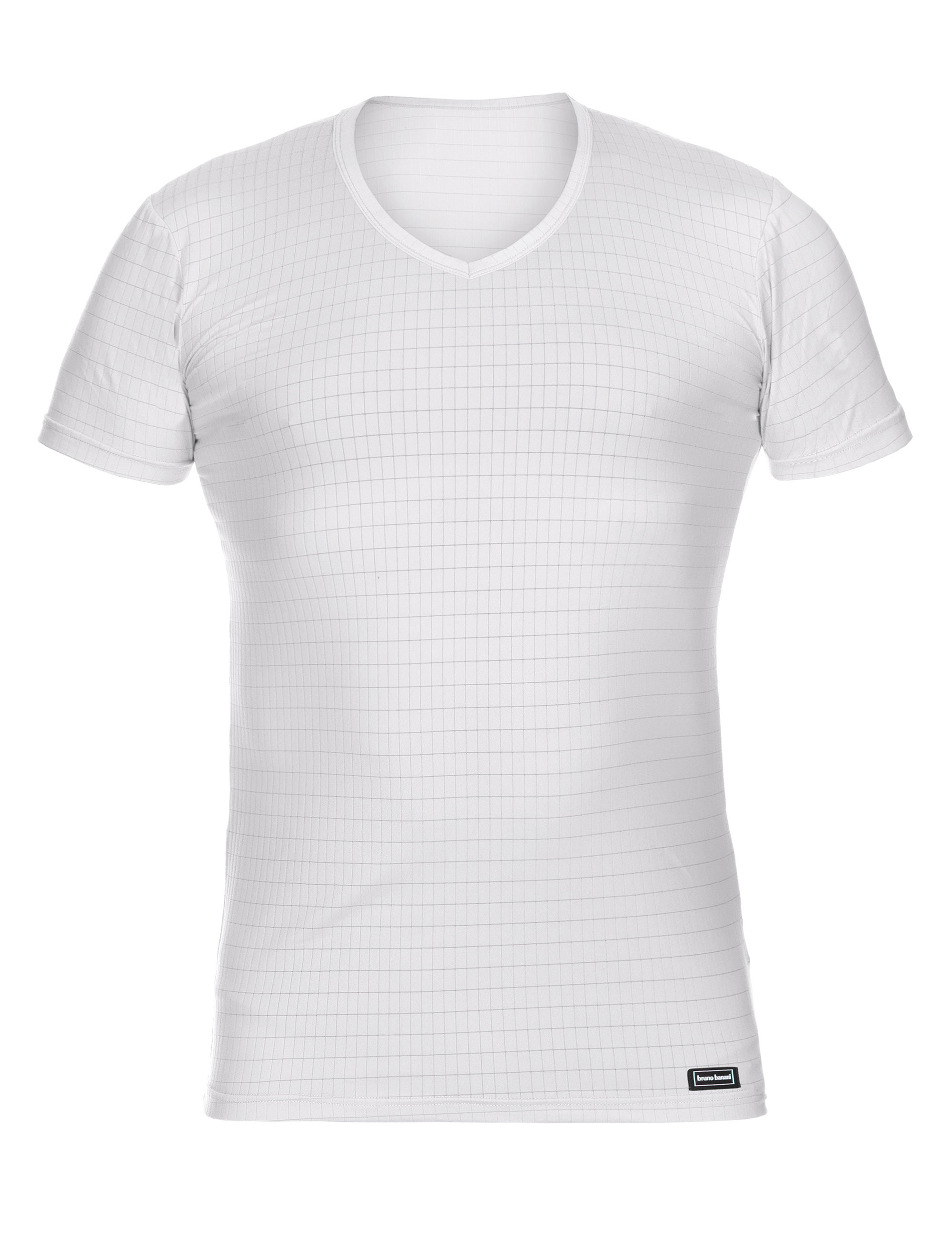 Bild von V-Shirt Check Line 2.0