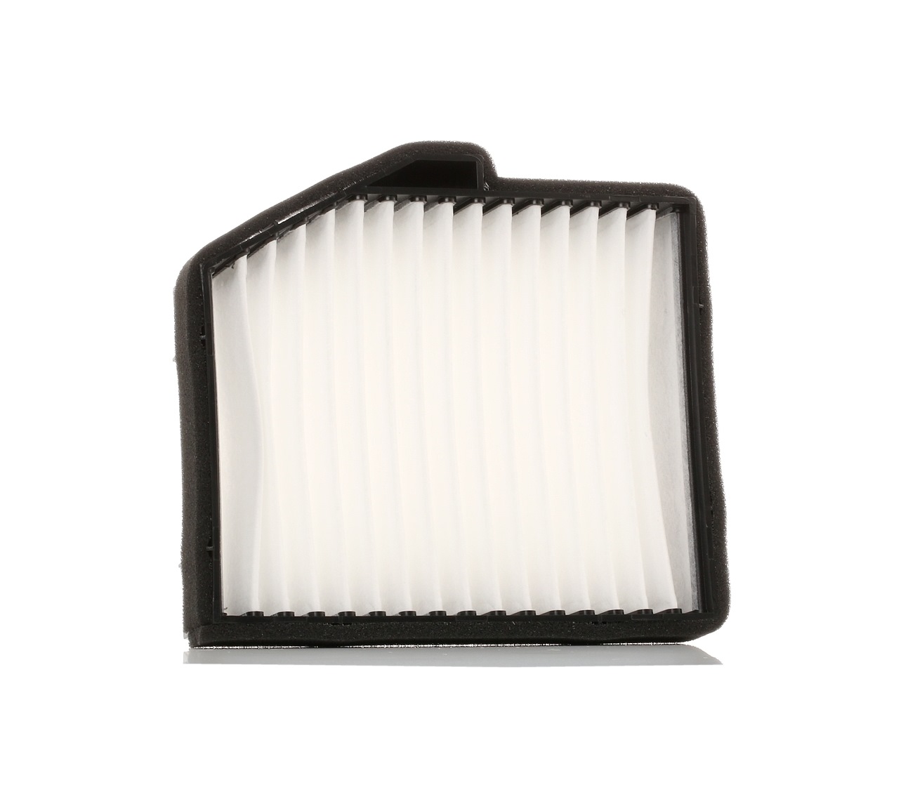 Bild von RIDEX Innenraumfilter Partikelfilter 424I0179 Filter, Innenraumluft,Pollenfilter HYUNDAI,H-1 Travel (TQ),H-1 / Starex MPV (A1),H-1 Kastenwagen (A1)