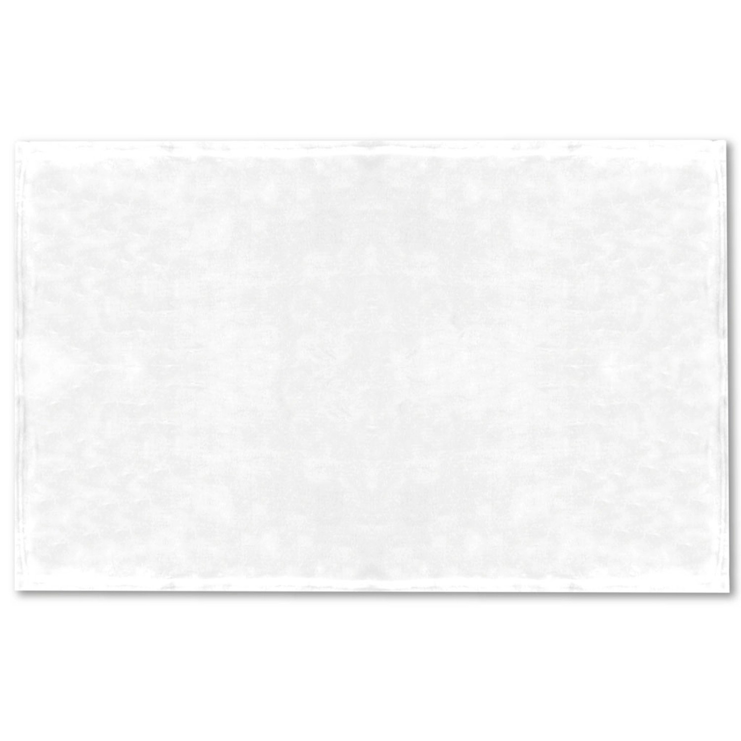 Bild von Bestlivings Tierdecke Hundedecke Mikrofaser 80 x 120 cm Weiß