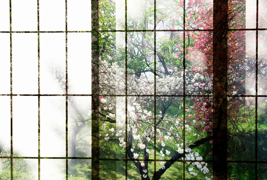 Bild von living walls Fototapete "Walls by Patel Orchard 2", Vlies, Wand, Schräge