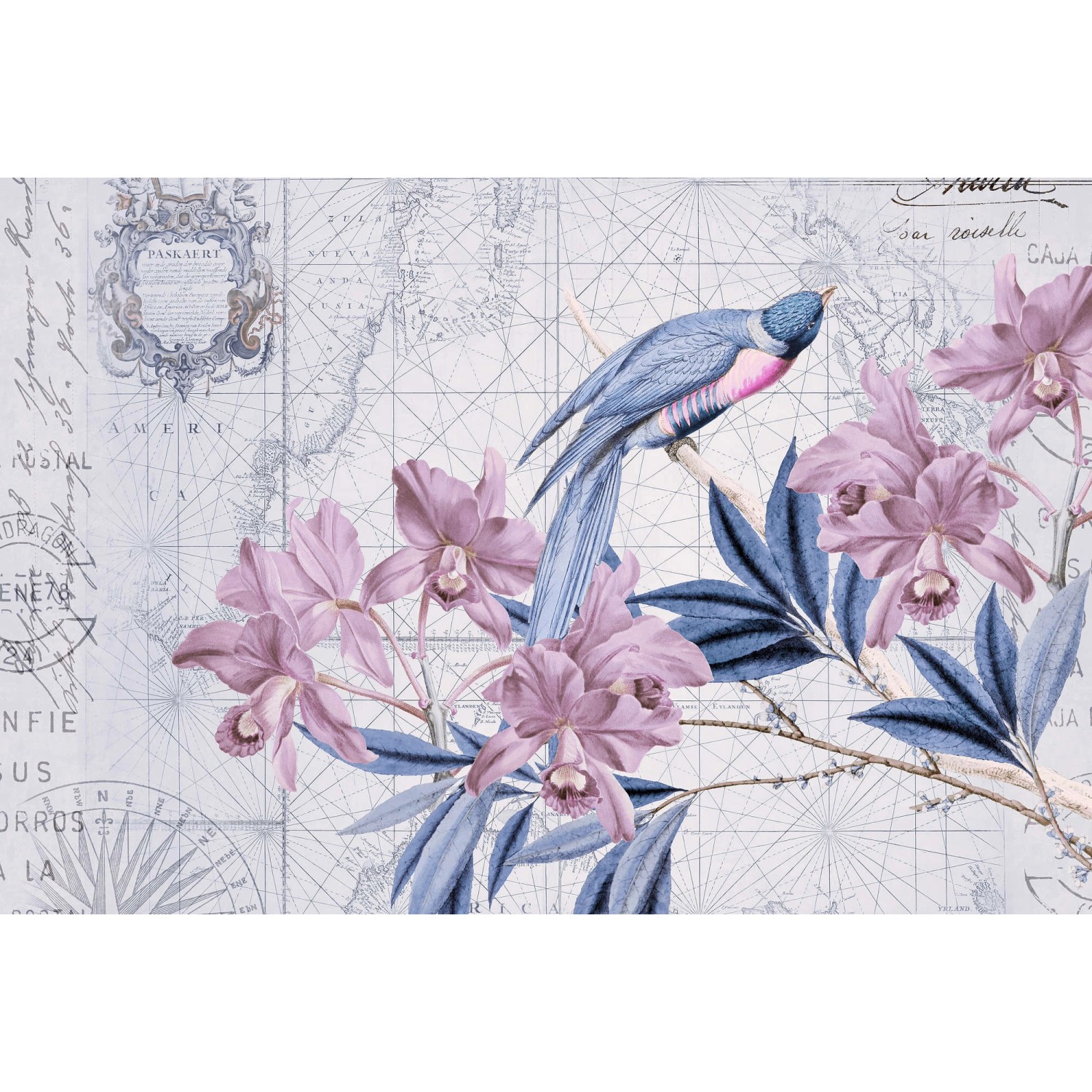 Bild von Fototapete Weltkarte Vogel Blumen Grau Blau Rosa 4,00 m x 2,70 m FSC®