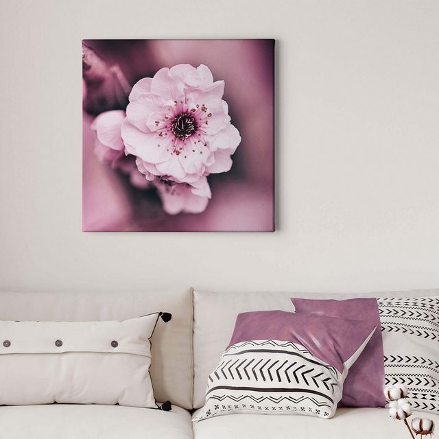 Bild von Bricoflor Leinwand Bild Mit Rosa Blüte Blumen Leinwandbild Ideal Für Schlafzimmer Und Mädchenzimmer Nahaufnahme Von Blume Auf Quadratischer Leinwand