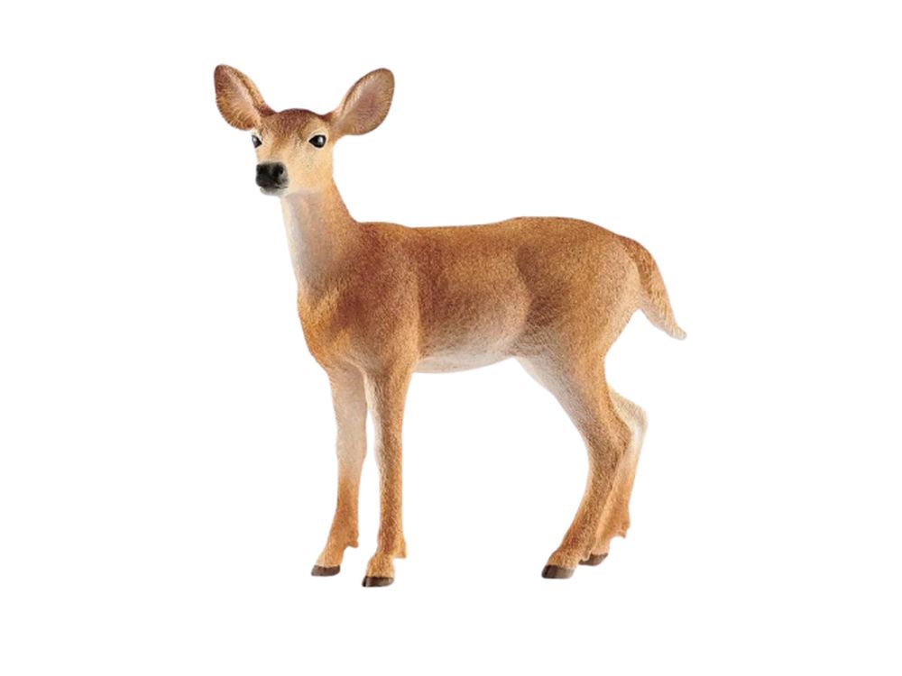 Bild von Schleich® Spielfigur Wald & Ozean - Weißwedelkuh - Neu