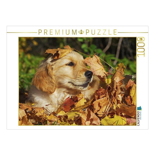 Bild von CALVENDO Puzzle Herbstfarben 1000 Teile Puzzle quer